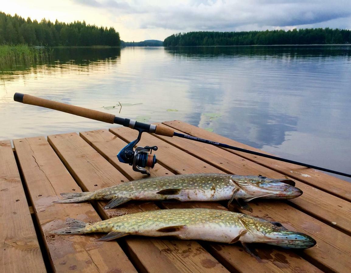 Valteri Villa Enonkoski ภายนอก รูปภาพ